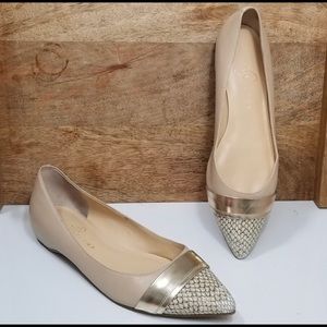 Ivanka Trump pointed toe flats